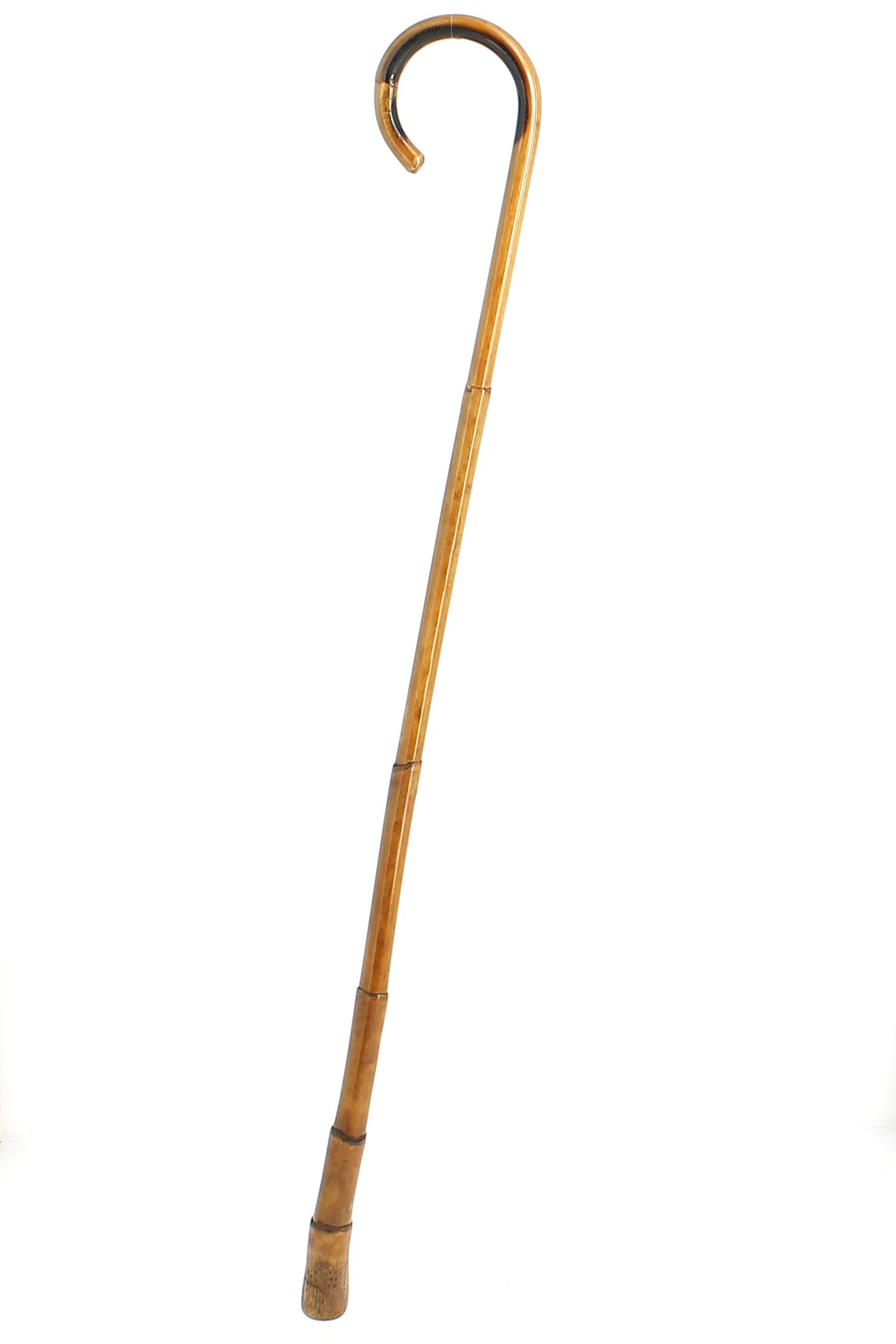 Canne de maquignon en Rotin avec racine 56R